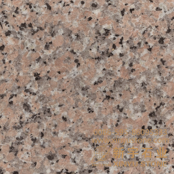 G489