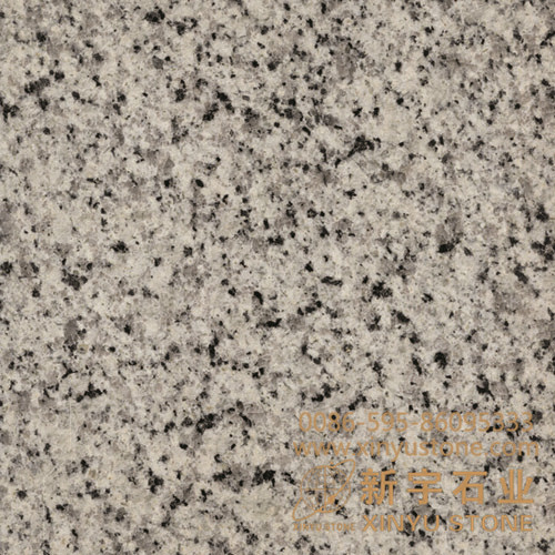 G641