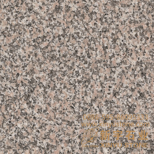 G646