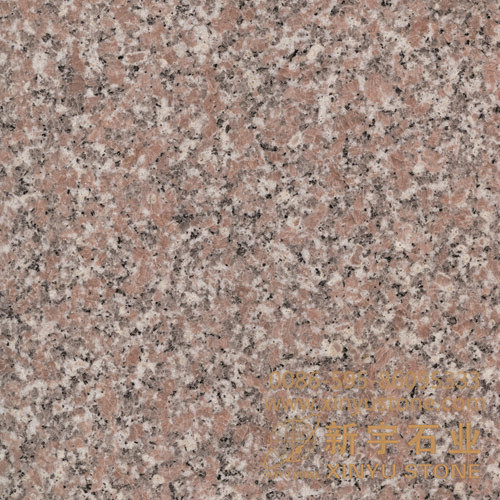 G648