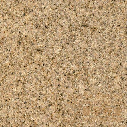 G682